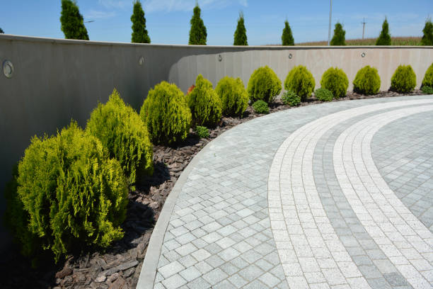 Reasons to Select Us for Your Driveway Paving Requirements in Diamond Springs, CA